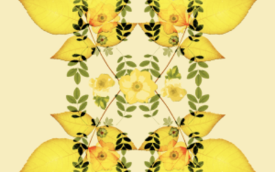1950’s Flooring design