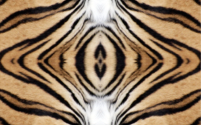 Animal Print Flooring Designs