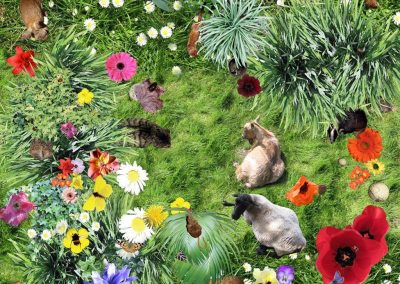 3D countryside vinyl flooring with farm animals, wildflowers and lush grass by Blue Butterfly Flooring