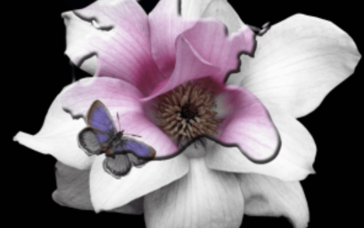 Flower Flooring Designs