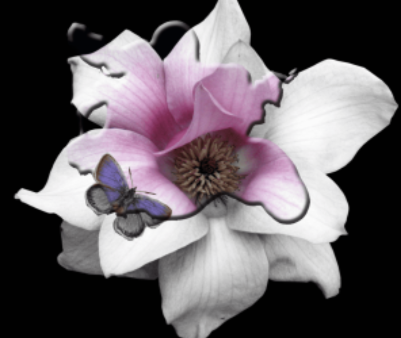 Flower Flooring Designs