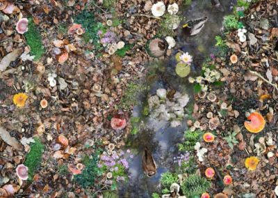 3D woodland stream vinyl flooring with ducks, mushrooms and forest leaves by Blue Butterfly Flooring
