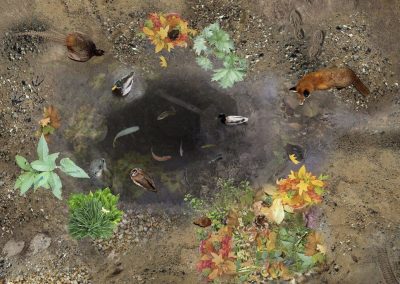 Floral Flooring