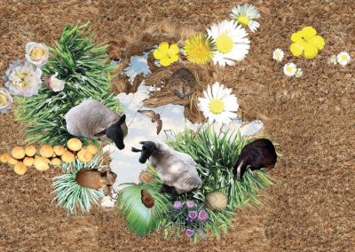 3D Vinyl Flooring