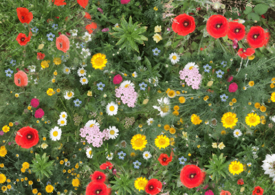 Floral Flooring