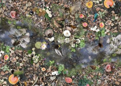 Floral Flooring