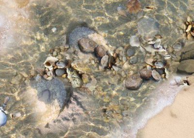 Realistic seaside flooring with shells, sand and gentle shoreline waves by Blue Butterfly Flooring