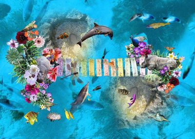 Seaside Flooring designs