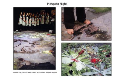 mosquito night